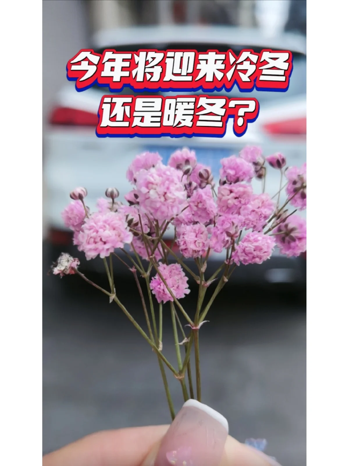 今年将迎来冷冬还是暖冬_寒冬之后迎暖春_今年是冷冬暖冬