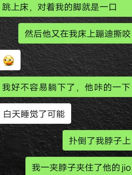小人的小游戏_小人的手机游戏_手机上会说话的小人游戏