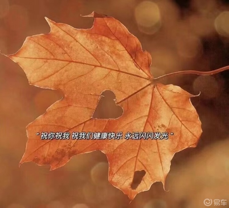肖纯凌老公副市长_凌肖_肖凌芝