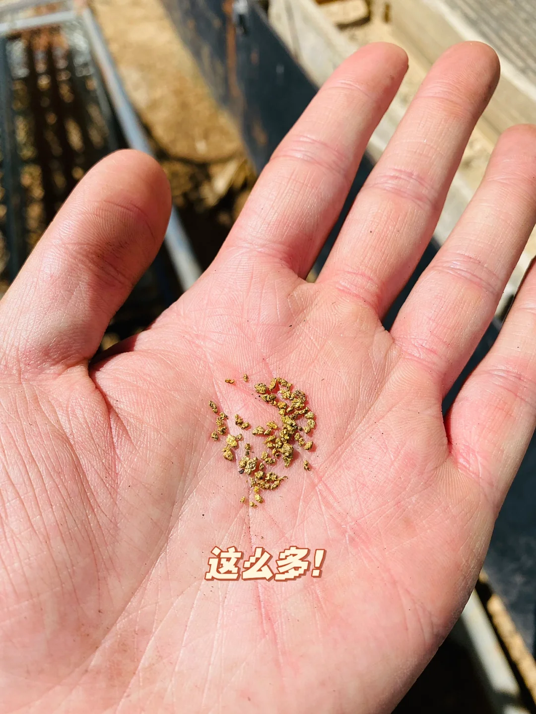 手机游戏直播投资_手机直播游戏赚钱_直播投资手机游戏骗局