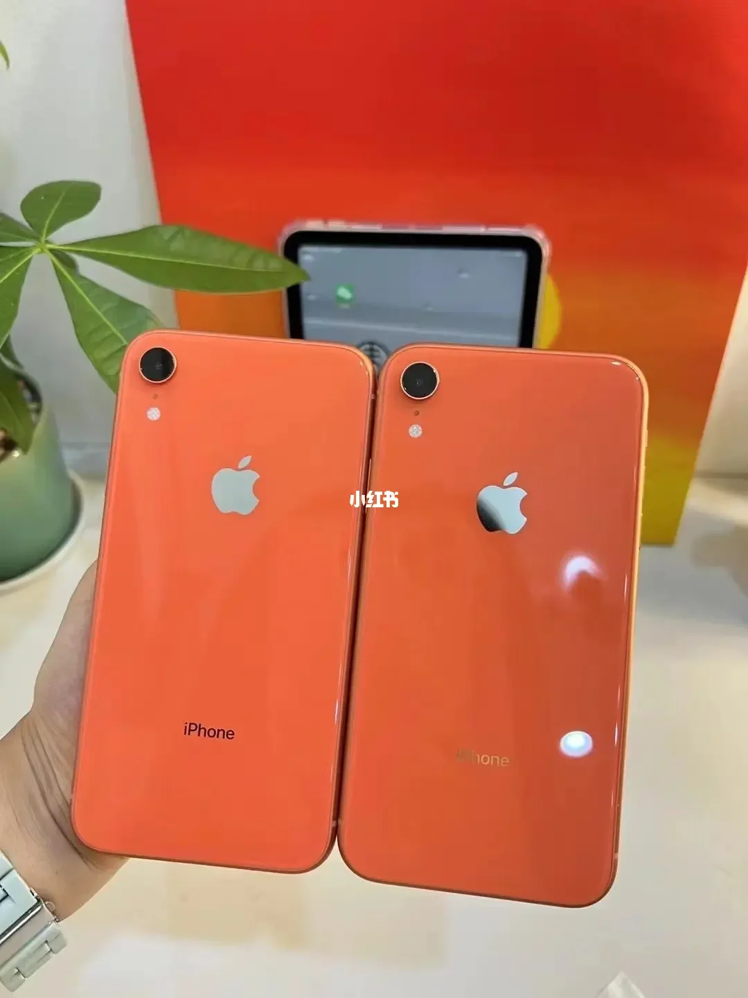iphonexr和iphone11对比_对比的作用_三星s3和s4对比