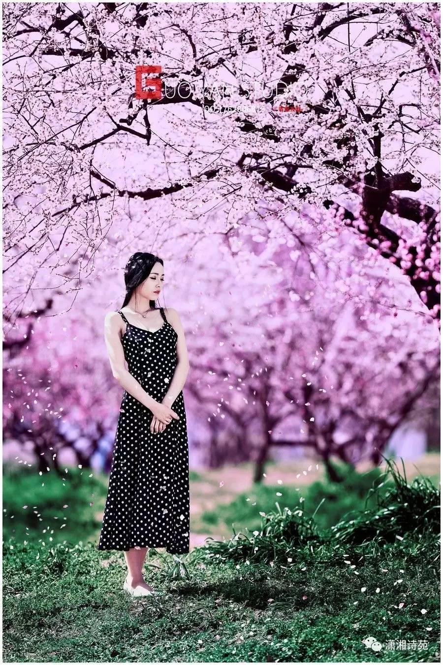 九月生_九月生辰石_九月生孩子什么时候怀孕
