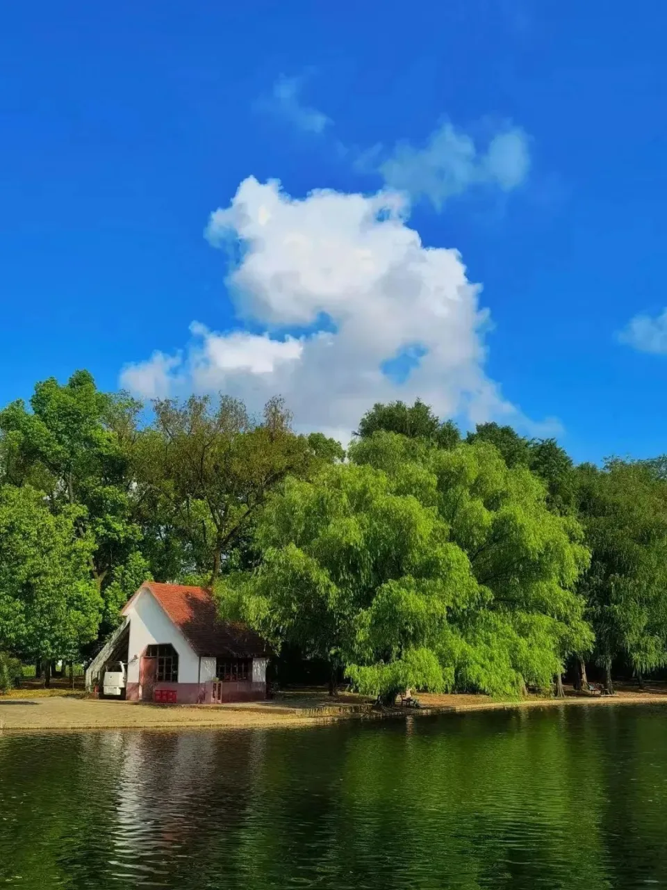 手机游戏风景治愈_治愈风景手机游戏_治愈系风景游戏