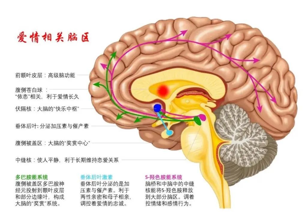 手机游戏打野鸡_手机游戏打野鸡_手机游戏打野鸡