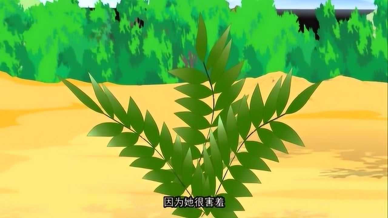 含羞草视频网站_含羞草视频网站_含羞草视频网站