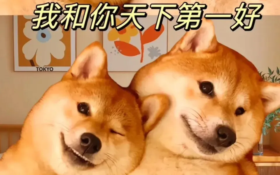 游戏狗安卓游戏手机版_找游戏游戏狗手机版_游戏狗在线玩