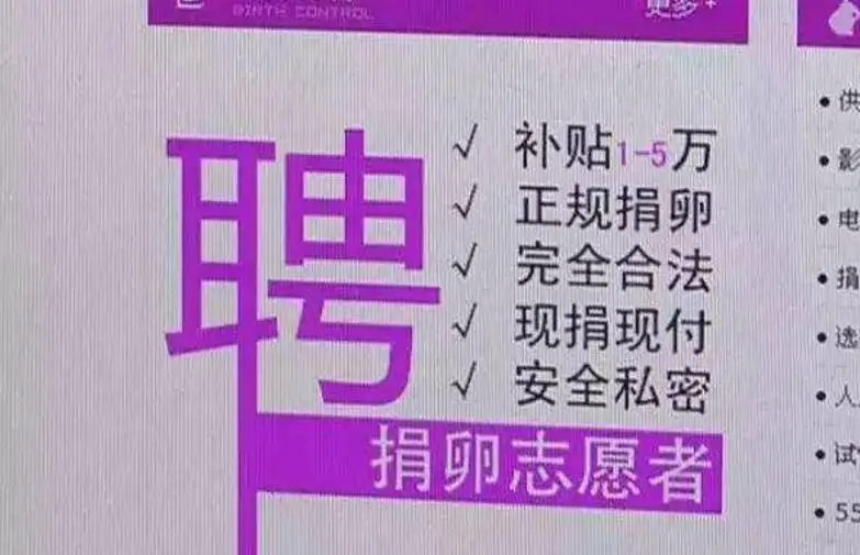 名刀司命_堺刀司的刀怎么样_名刀司命以前叫什么