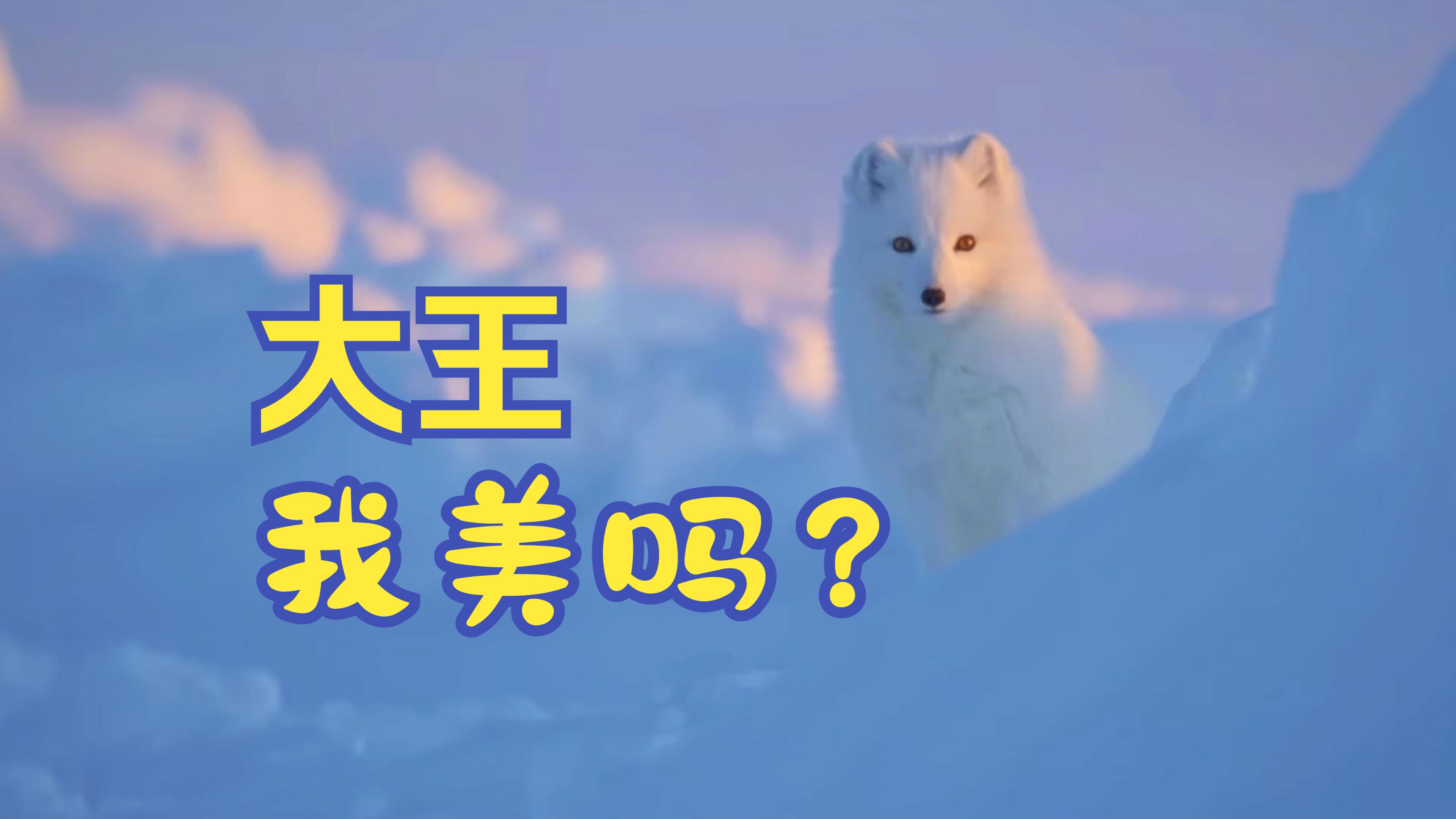 北极狐版本_手机游戏北极狐怎么玩的_手机游戏北极狐
