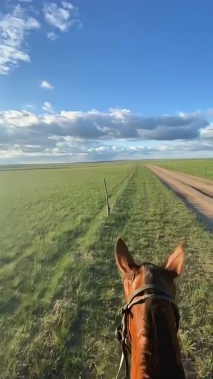 一个旅行者的游戏_一个人旅行的游戏手游_手机上第一人称旅行游戏