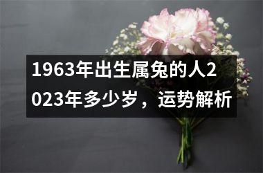 兔属于哪一年出生_属兔的是哪年出生的_属兔是出生的年份