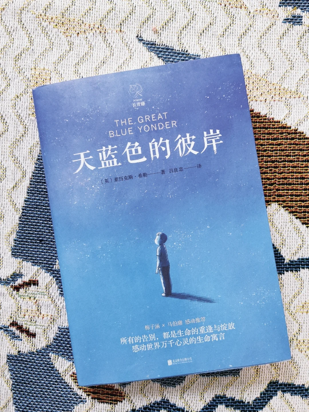 谷崎直美_直美和谷崎是骨科吗_谷崎和直美是什么关系