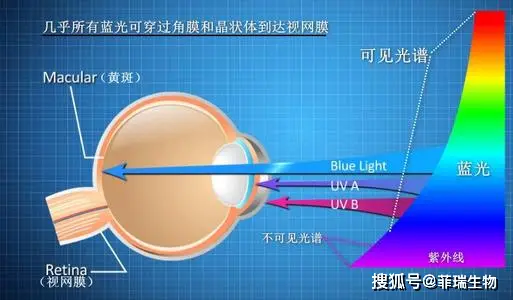 手机游戏护眼模式在哪_手机护眼模式打游戏_手机游戏护眼