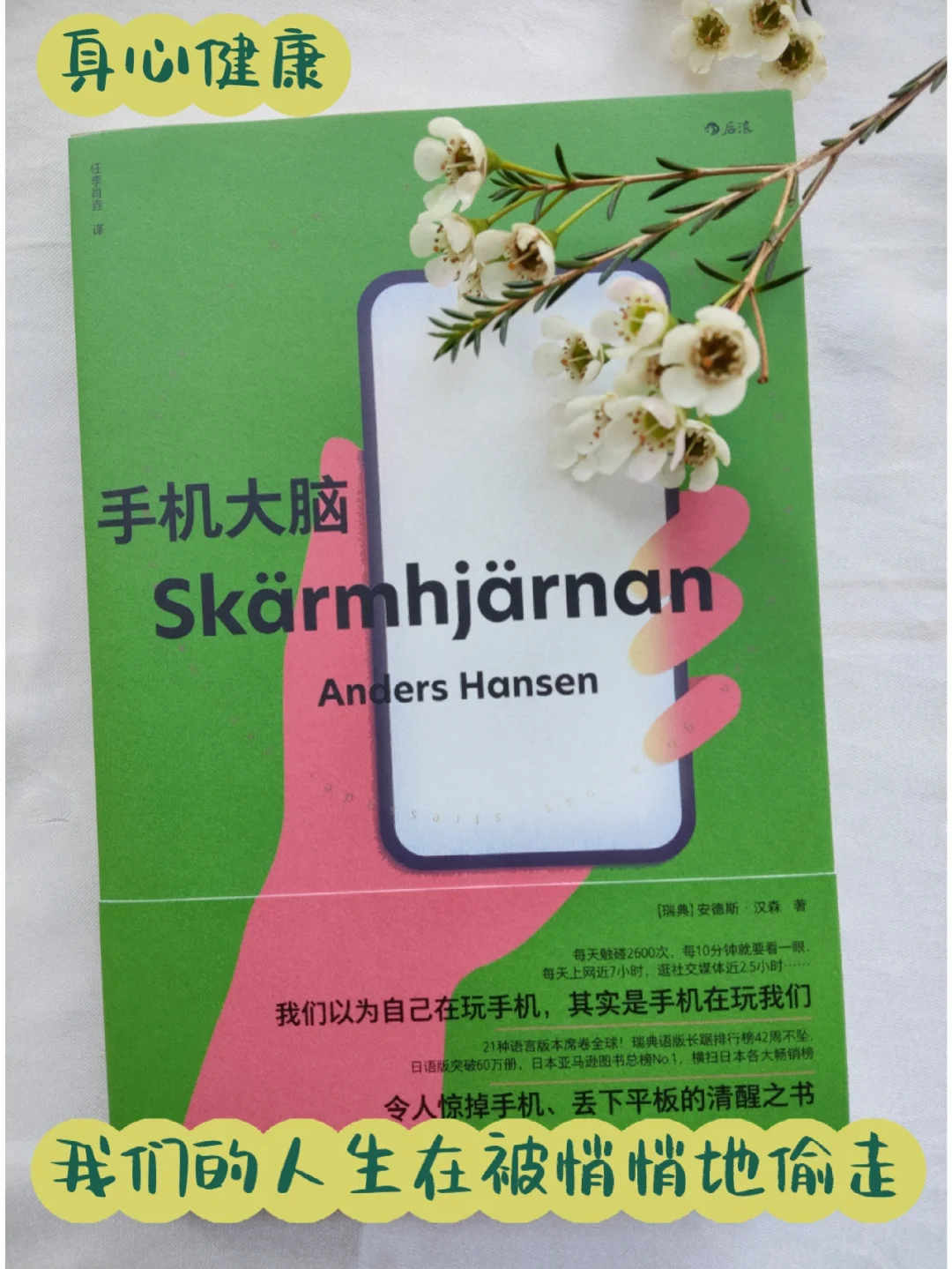 又可以玩手机_能动玩手机游戏有哪些_手机游戏能玩不动