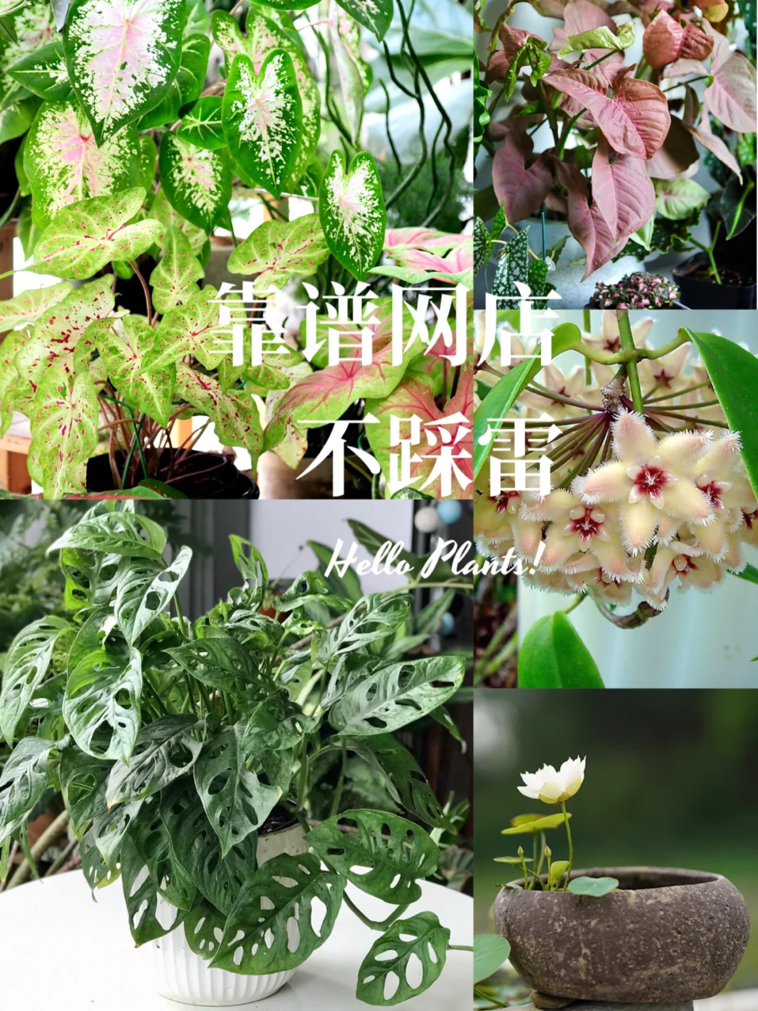小丑观看在线完整免费版中文_小丑在线观看完整免费版_小丑观看在线完整免费版电影