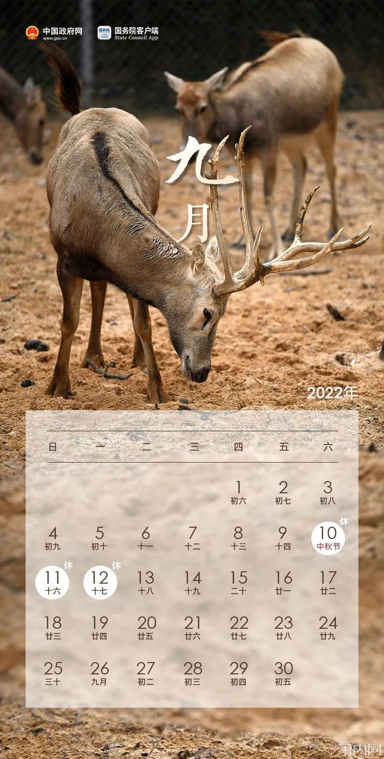 月年2023年_2022年12月_月日年还是日月年