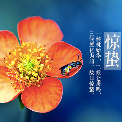 节气惊蛰的诗意描绘_二十四节气惊蛰_节气惊蛰