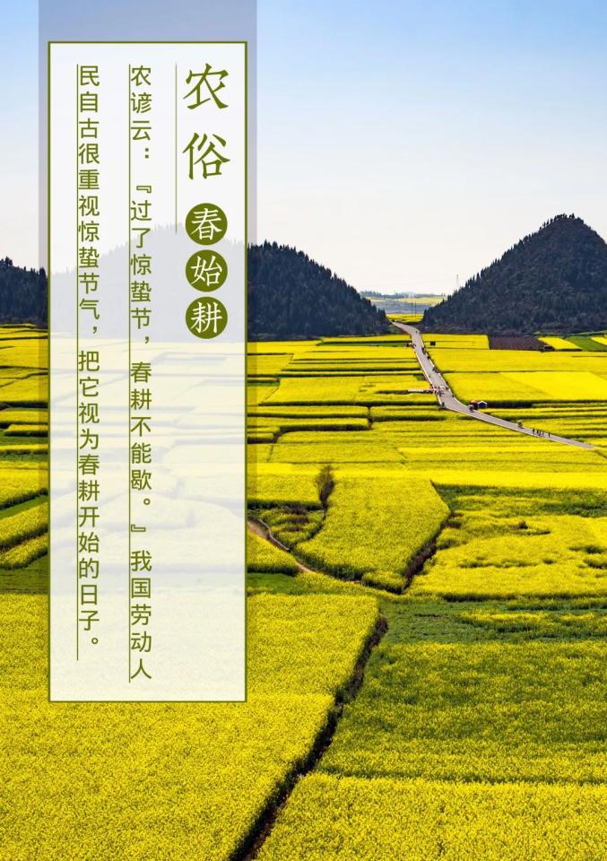 二十四节气惊蛰_节气惊蛰的诗意描绘_节气惊蛰