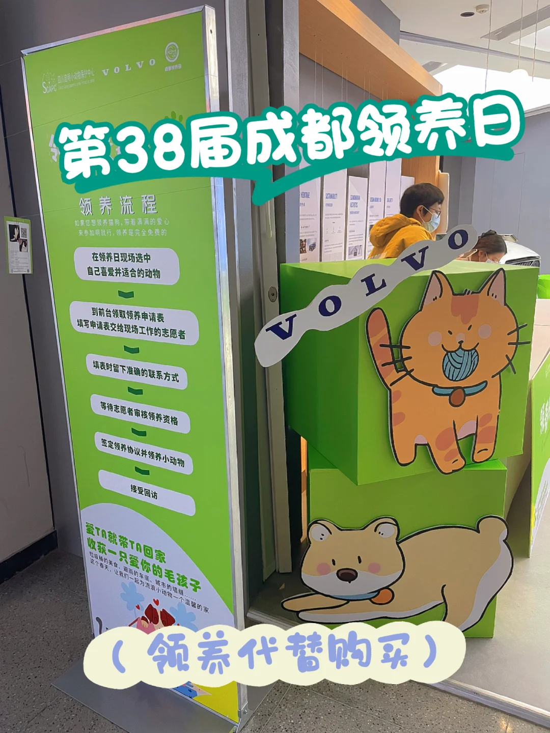国际志愿者是每年的_国际志愿者日是哪一天_国际志愿者工资