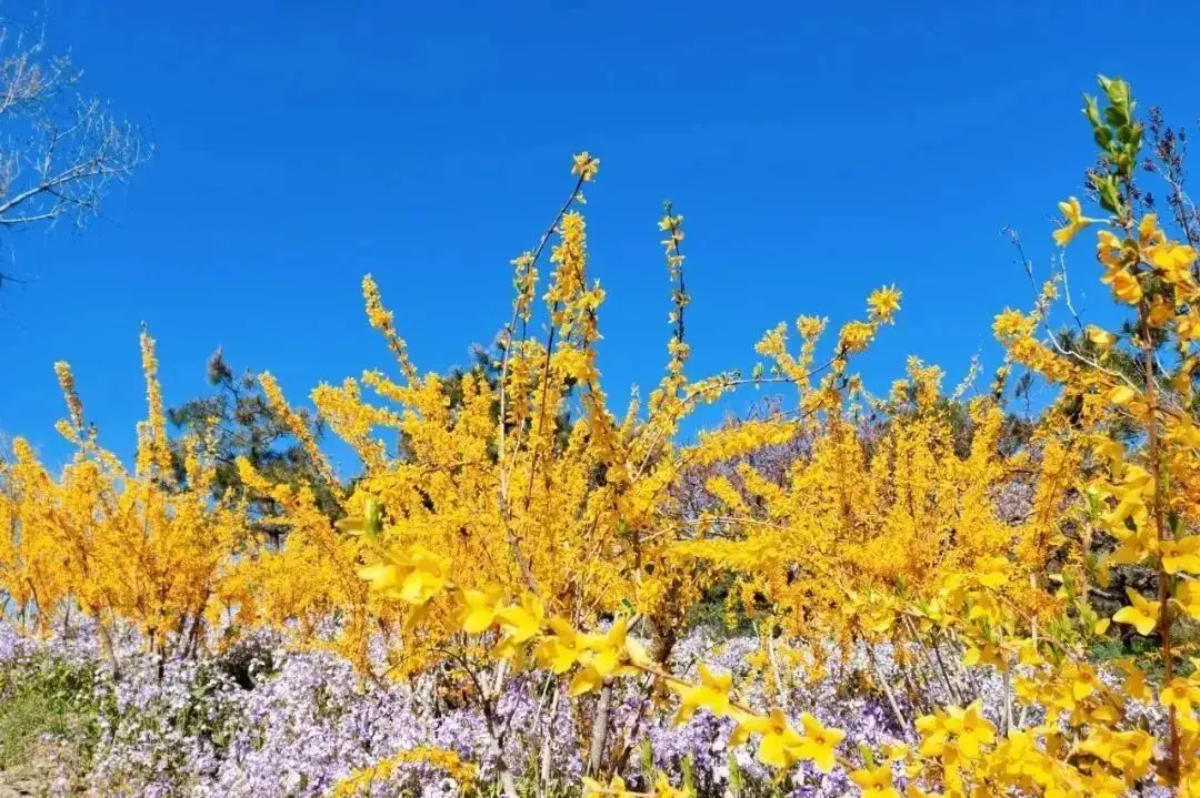 季节がいく时_春季季节_季春时节