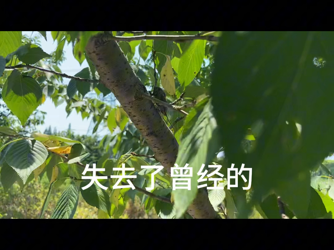 孙小美_山东好声音孙小美_大富翁孙小美钱夫人金贝贝