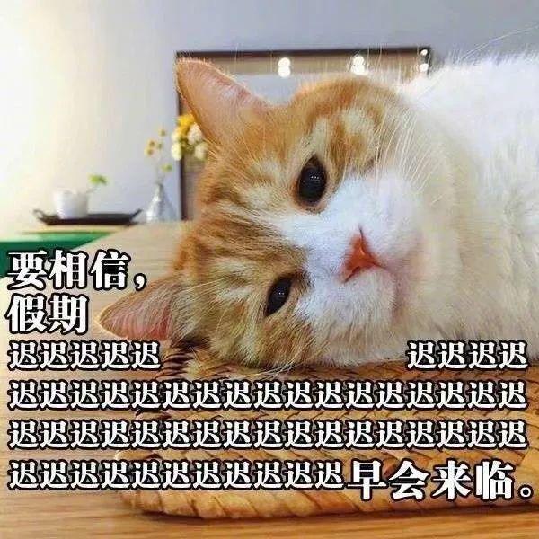 五一休放单天公司发工资吗_五一单休公司怎么放假_单休的公司五一放几天