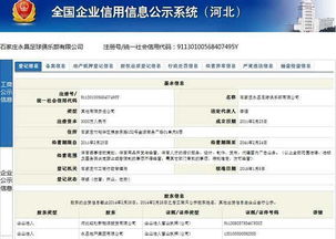 企业信用信息年报公示系统