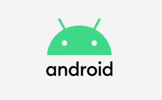 安卓系统的祖先,揭秘Android系统的祖先生