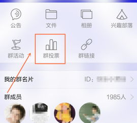 群投票