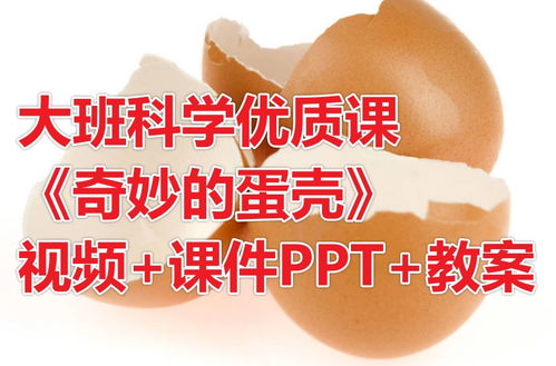 蛋壳特工队破解无限钻石版 