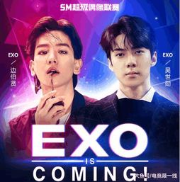 exo打游戏,游戏世界中的青春热血